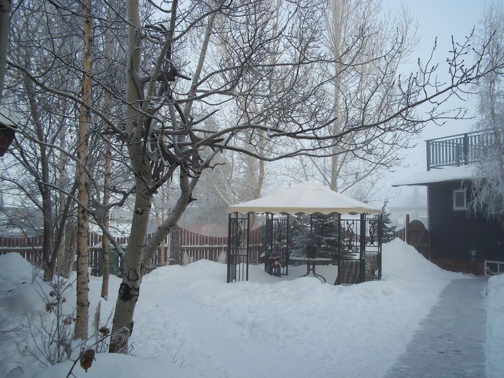 Historical Guest House Whitehorse Extérieur photo