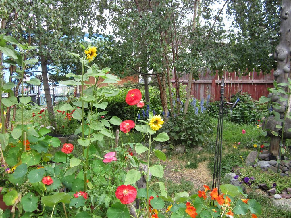 Historical Guest House Whitehorse Extérieur photo